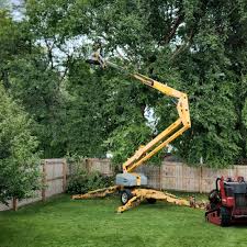 Best Emergency Tree Removal  in Patrick Springs, VA