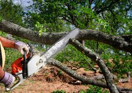 Mulching Services in Patrick Springs, VA